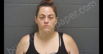 SARA SUZANNE MYERS | 2019-06-17 11:55:00 Montgomery County, Indiana Booking