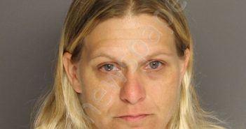 WADDELL, KRISHA MARIE | 2019-06-17 01:45:00 Berkeley County, South Carolina Booking