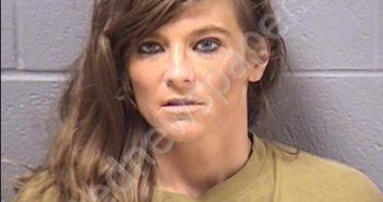 PAGACH, KELLY S | 2019-06-18 23:52:00 Will County, Illinois Booking