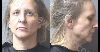 BUTLER, <B>STACIE</B> LYN #, Madison County, Indiana - 2019-06-18 02:08:00