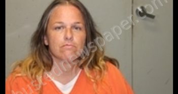 RIKKI LYNN REYNOLDS | 2019-06-18 17:12:00 Livingston County, Missouri Booking