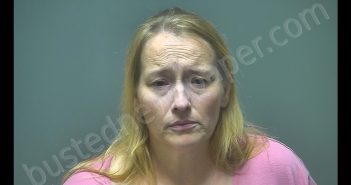 <B>TALEDA</B> <B>MARIE</B> <B>BRENNER</B> #, Isabella County, Michigan - 2019-06-18 00:09:00