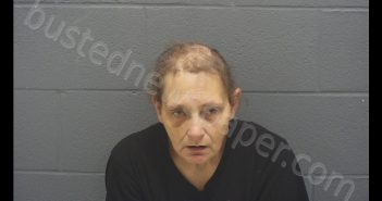 MICHELLE DAWN ANDERS | 2019-06-18 19:24:00 Montgomery County, Indiana Booking