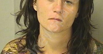 WORKMAN, ADREANA MARIE | 2019-06-18 21:10:00 Wood County, West Virginia Booking