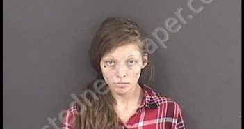 DEFIBAUGH, CRYSTAL RENAE | 2019-06-18 18:11:00 Roanoke County, Virginia Booking
