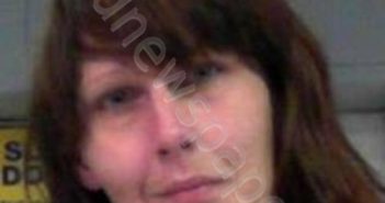 GREEN, SANDRA RUTHANN | 2019-06-19 02:30:00 Wood County, West Virginia Booking