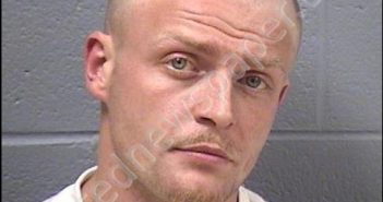 SUNDE, ALAN M | 2019-06-19 03:17:00 Will County, Illinois Booking