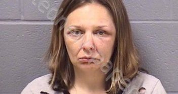 SCHILLACI, ERICA L | 2019-06-19 15:17:00 Will County, Illinois Booking