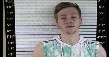 DUNAWAY, JORDAN | 2019-06-19 12:57:00 Graves County, Kentucky Booking