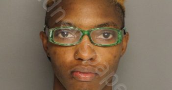 WRIGHT, BRITNEY ELIZABETH | 2019-06-19 19:49:00 Berkeley County, South Carolina Booking