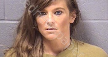 PAGACH, KELLY S | 2019-06-20 13:14:00 Will County, Illinois Booking