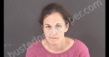 BRUNK, LAURA MICHELLE | 2019-06-20 03:47:00 Roanoke County, Virginia Booking