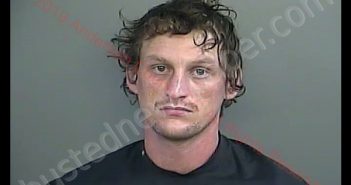 <B>DYLAN</B> MATTHEW CODY MEEKS #, <b>Anderson</b> County, South Carolina, Anderson County, South Carolina - 2019-06-20 14:46:00