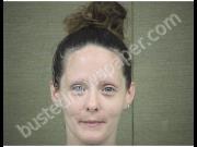 KELLY, MELISSA | 2019-06-23 Harnett County, North Carolina Booking