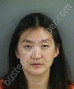 WANG,CHAODAN | 2019-06-23 Collier County, Florida Booking