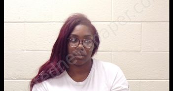 JAMEKA JAZMYN DAVIS | 2019-06-24 16:56:00 Pickens County, Georgia Booking