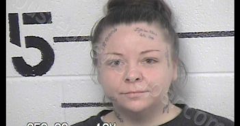 BACK, DESTINEE SHIANNE | 2019-06-24 11:31:00 Chase County, Kansas Booking