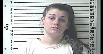 MERCEDES MAY CLEM | 2019-06-25 16:00:00 Hardin County, Kentucky Booking