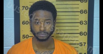 DASHAWN NELSON JONES | 2019-06-25 16:47:00 Ottawa County, Ohio Booking