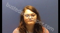 LOVE SABRINA MARIE | 2019-06-25 Huron County, Ohio Booking