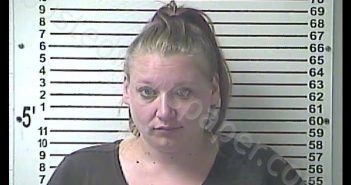 HEATHER MARIE CONNOR | 2019-06-25 13:38:00 Hardin County, Kentucky Booking