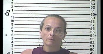CRYSTAL GAIL SUMMITT | 2019-06-25 16:19:00 Hardin County, Kentucky Booking