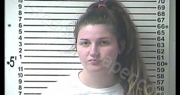 ALEXIS NICOLE WASH | 2019-06-25 16:00:00 Hardin County, Kentucky Booking