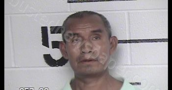 TELLEZ, JOSE MANUEL | 2019-06-25 23:15:00 Chase County, Kansas Booking
