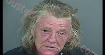 CHERI ANN CHAPMAN | 2019-06-25 22:20:00 Anderson County, South Carolina Booking