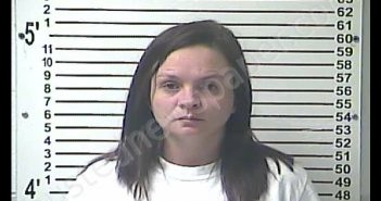 MORGAN KAYE NALLEY | 2019-06-25 13:19:00 Hardin County, Kentucky Booking