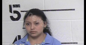 HERNADEZ-DE LA CRUZ, CONSUELO | 2019-06-26 21:55:00 Chase County, Kansas Booking