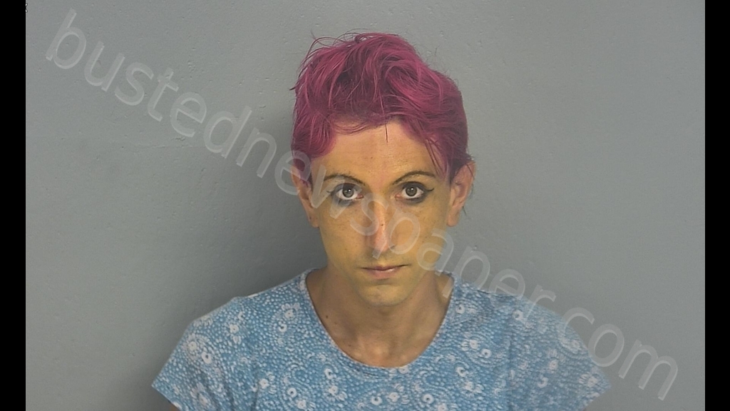 SHAWNA MICHELLE BABCOCK #, Greene County, Missouri - 2019-06-26 08:56:00