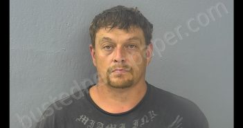 JAMIE LEE ADAMS | 2019-06-26 01:23:00 Greene County, Missouri Booking