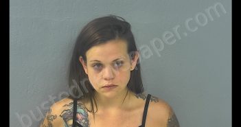 STEPHANIE LYNN MCKINNIS | 2019-06-26 02:08:00 Greene County, Missouri Booking