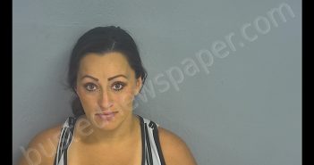 BRITNEY NICOLE GONZALEZ | 2019-06-26 10:08:00 Greene County, Missouri Booking