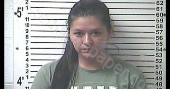 LESLIE ANN MEREDITH | 2019-06-26 20:33:00 Hardin County, Kentucky Booking