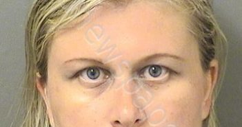 ORENSHTEYN, VERA | 2019-06-27 17:33:00 Palm Beach County, Florida Booking