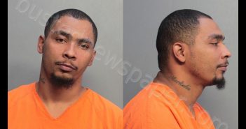 NELSON, MCARTHUR | 2019-06-27 19:12:00 Miami-Dade County, Florida Booking