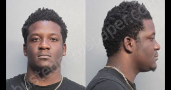 SYLVESTRE, LENTZ | 2019-06-27 20:10:00 Miami-Dade County, Florida Booking