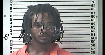 EDWARD LEE BROWN | 2019-06-27 12:39:00 Hardin County, Kentucky Booking