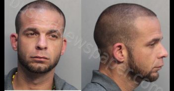 TABARES, MIGUEL ANGEL | 2019-06-27 04:10:00 Miami-Dade County, Florida Booking