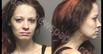 WALTERS-SHEPHERD,CHRISTIN LEE ANN | 2019-06-27 20:00:00 Saline County, Kansas Booking