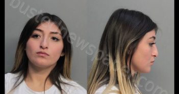 ARRIETA, LESLEY | 2019-06-27 05:09:00 Miami-Dade County, Florida Booking