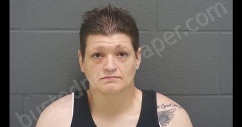 KELSEY NICHOLE PATTERSON | 2019-06-27 11:42:00 Montgomery County, Indiana Booking