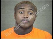 BERRYMAN, FREDERICK | 2019-06-28 Harnett County, North Carolina Booking