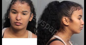 PENALVER, JENNIFER | 2019-06-28 20:35:00 Miami-Dade County, Florida Booking