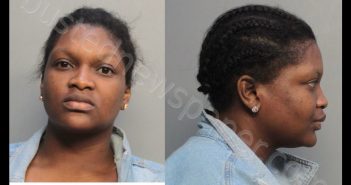 BIRTS, SHAWNTAVIA SAMANTHA | 2019-06-28 20:08:00 Miami-Dade County, Florida Booking