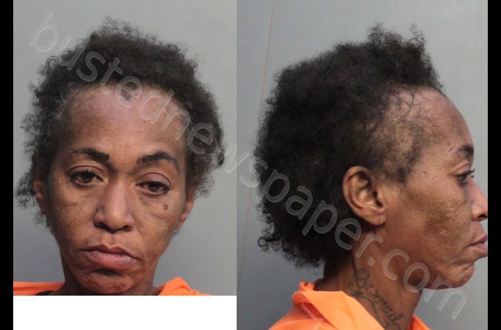 LEE, SHUNTA LAVENE #, Miami-Dade County, Florida - 2019-06-28 19:29:00