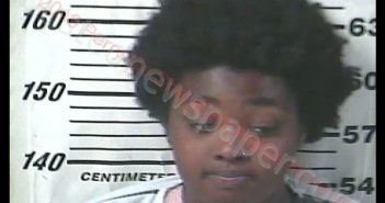 REINA SHANICE WILLIAMS | 2019-06-28 13:58:00 Perry County, Mississippi Booking