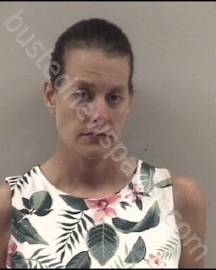 JENNIFER AYCOCK RHODES | 2019-06-28 Johnston County, North Carolina Booking